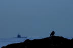 D2015036_198H