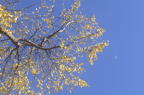 D2015038_004H