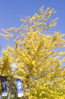 D2015038_058V