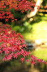 D2015040_007V