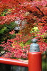 D2015040_009V