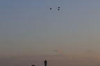 D2015048_016H