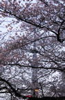 D2016009_006V