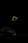 D2016016_167V