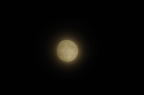 D2016017_037H