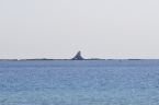 D2019002_100H