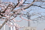 D2019014_039H