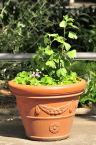 D2019036_059V