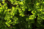 D2019036_068H