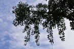 D2019036_149H