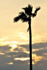 D2019039_014V