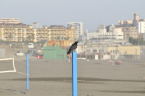D2019050_006H