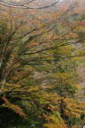 D2019064_035V