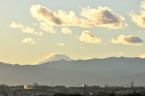 D2019073_018H