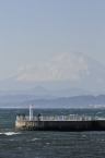 D2019074_005V