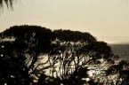 D2019074_053H