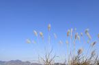 D2020005_029H