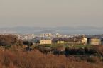 D2020005_109H