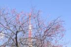 D2020007_003H