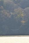 D2020029_092V