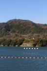 D2020031_002V