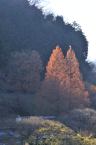 D2020031_053V