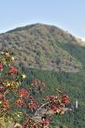 D2021031_043V