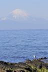 D2021044_027V