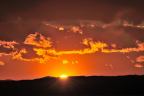 D2021049_105H