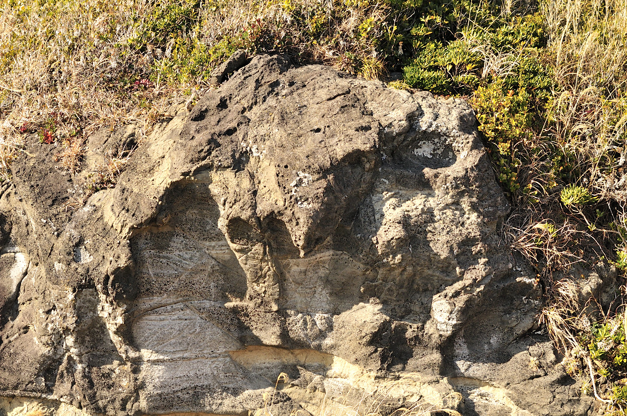 D2022003_125H