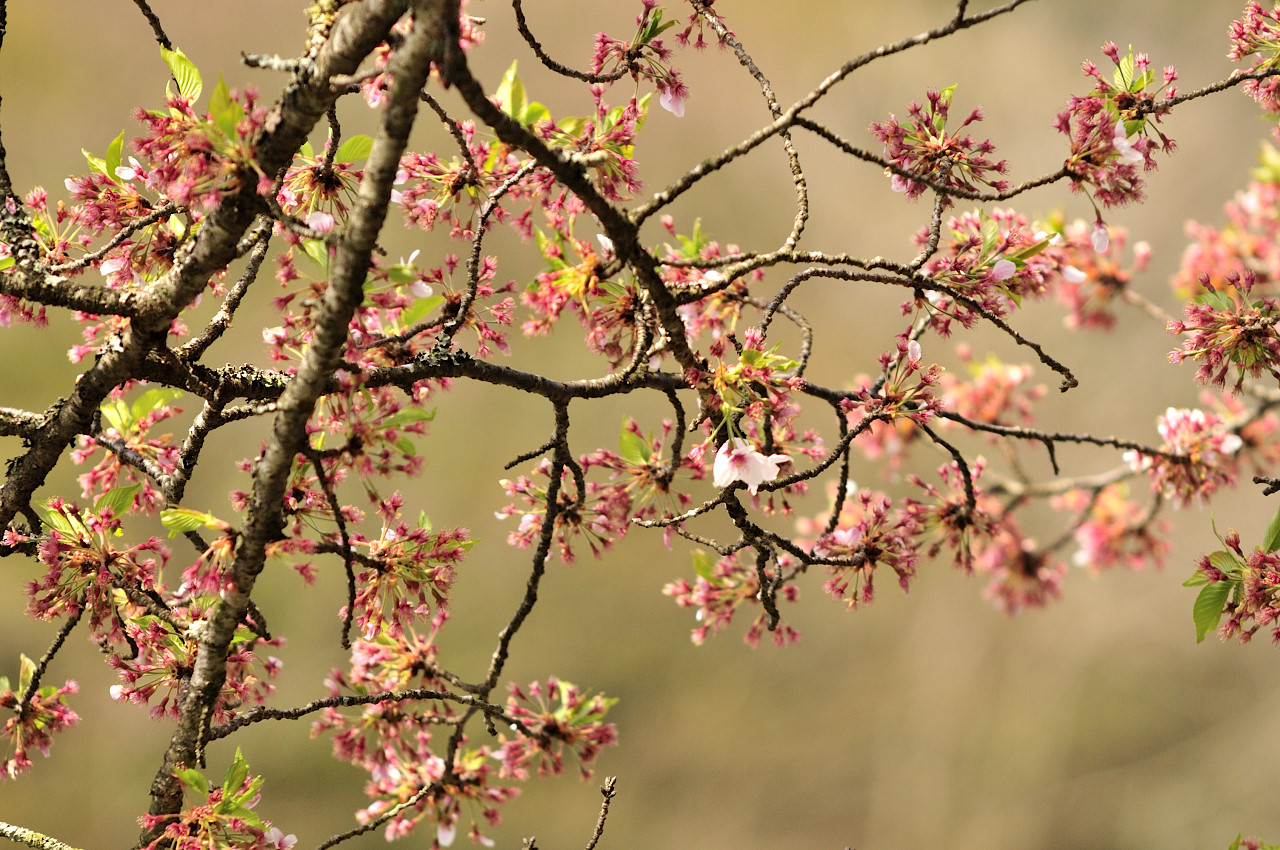 D2022010_044H