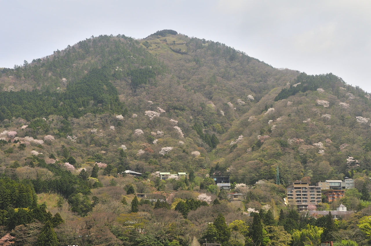 D2022010_115H