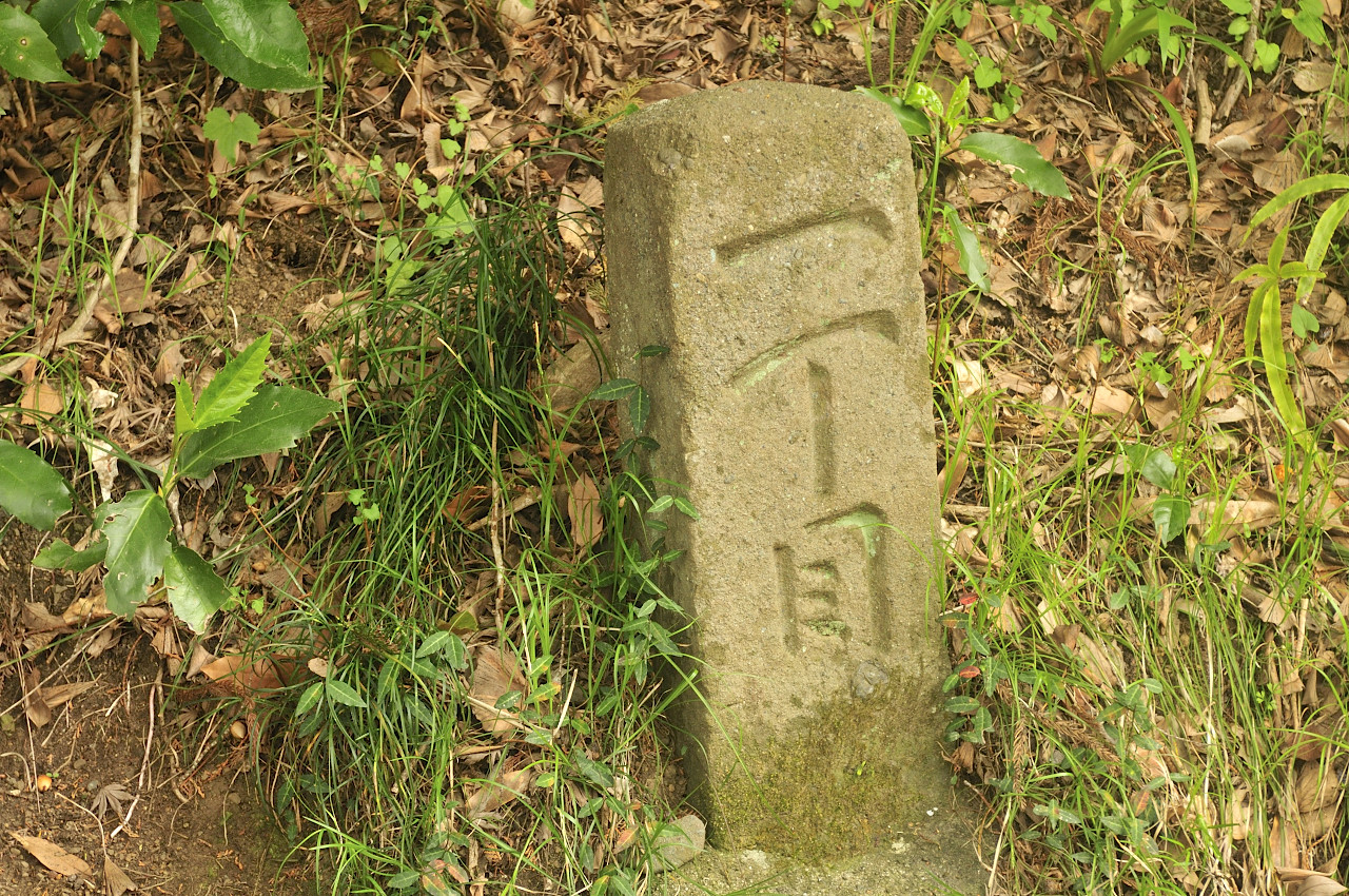 D2022012_005H