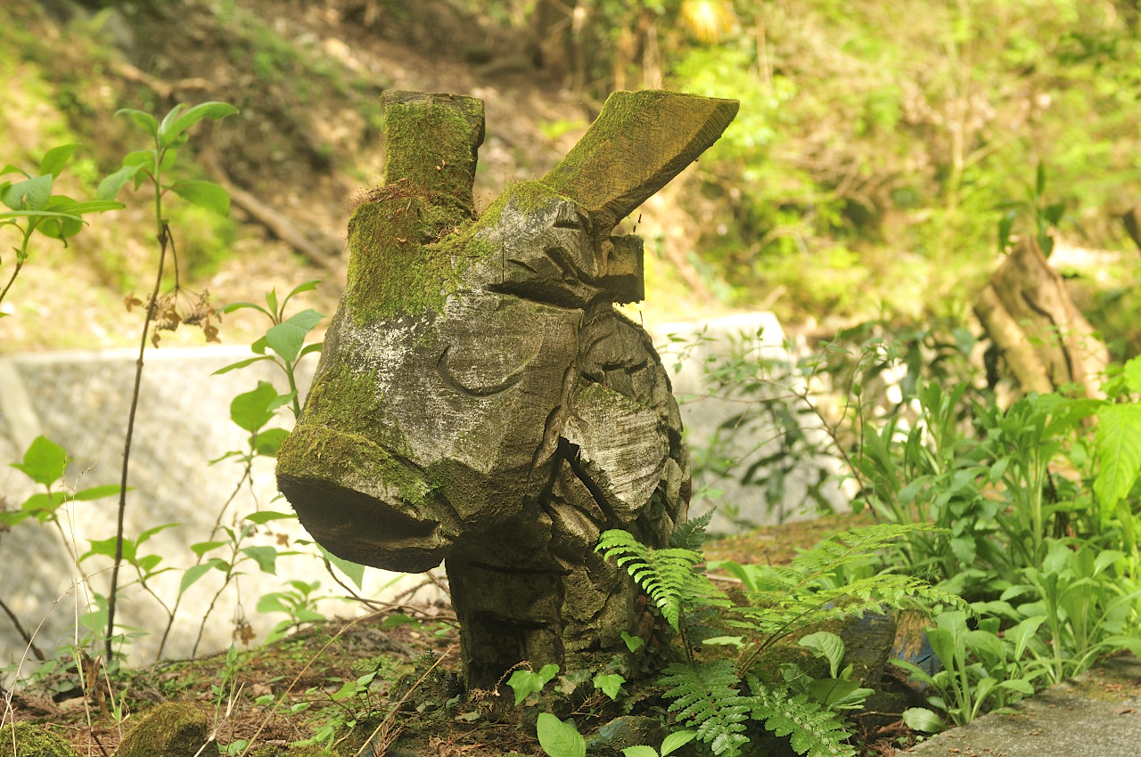 D2022012_031H