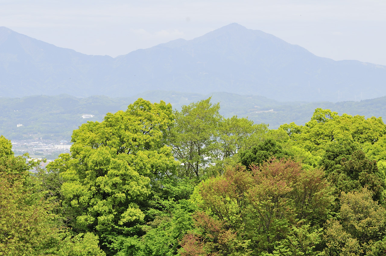 D2022015_068H