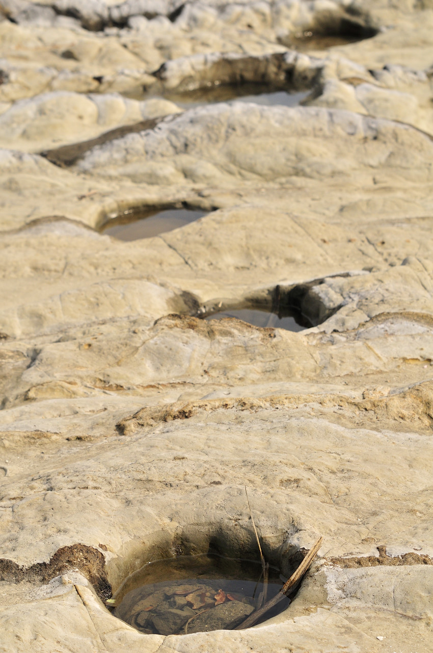 D2022020_257V