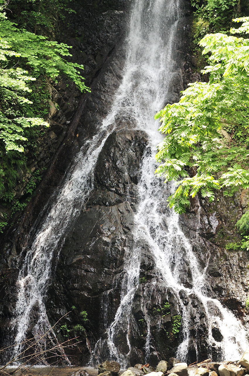D2022022_095V