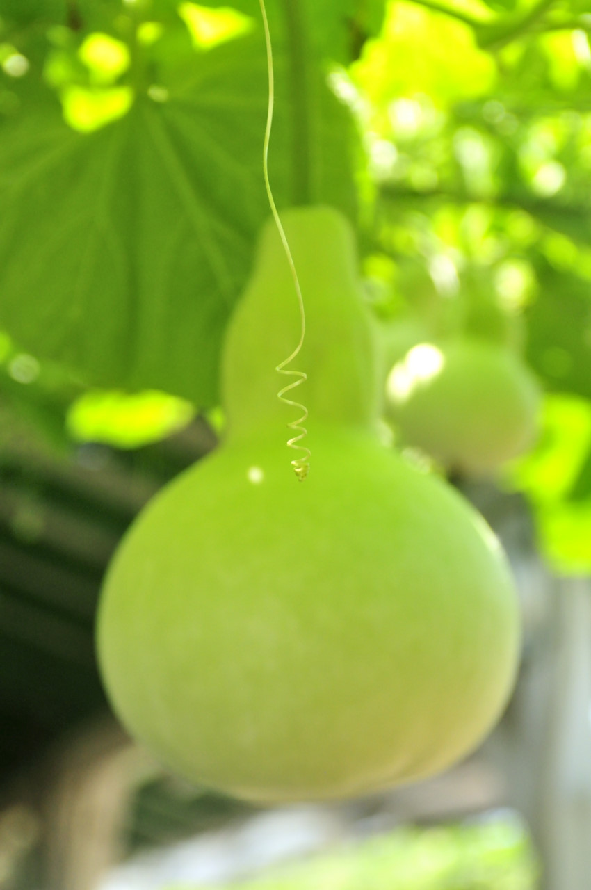 D2022033_025V