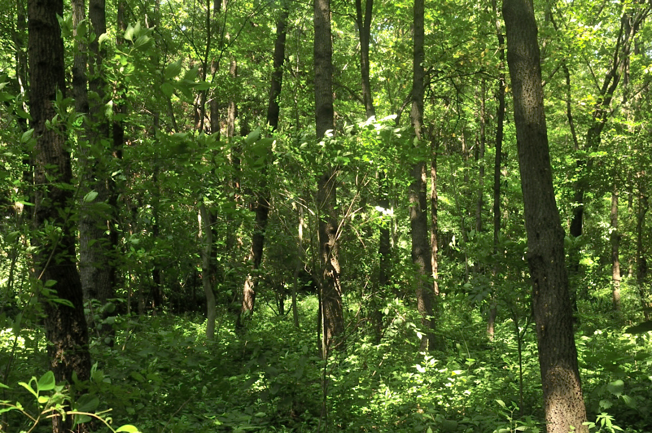 D2022036_013H