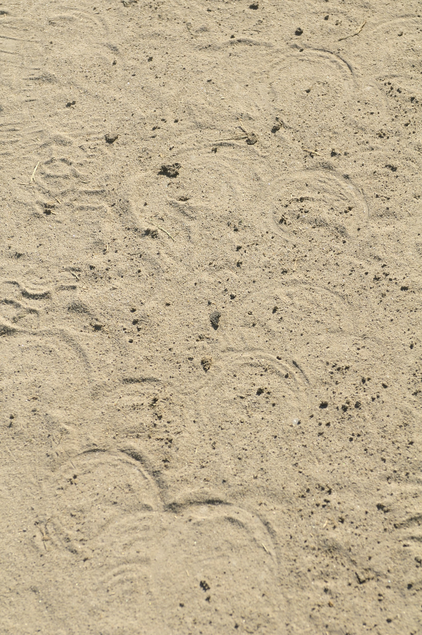 D2022050_084V
