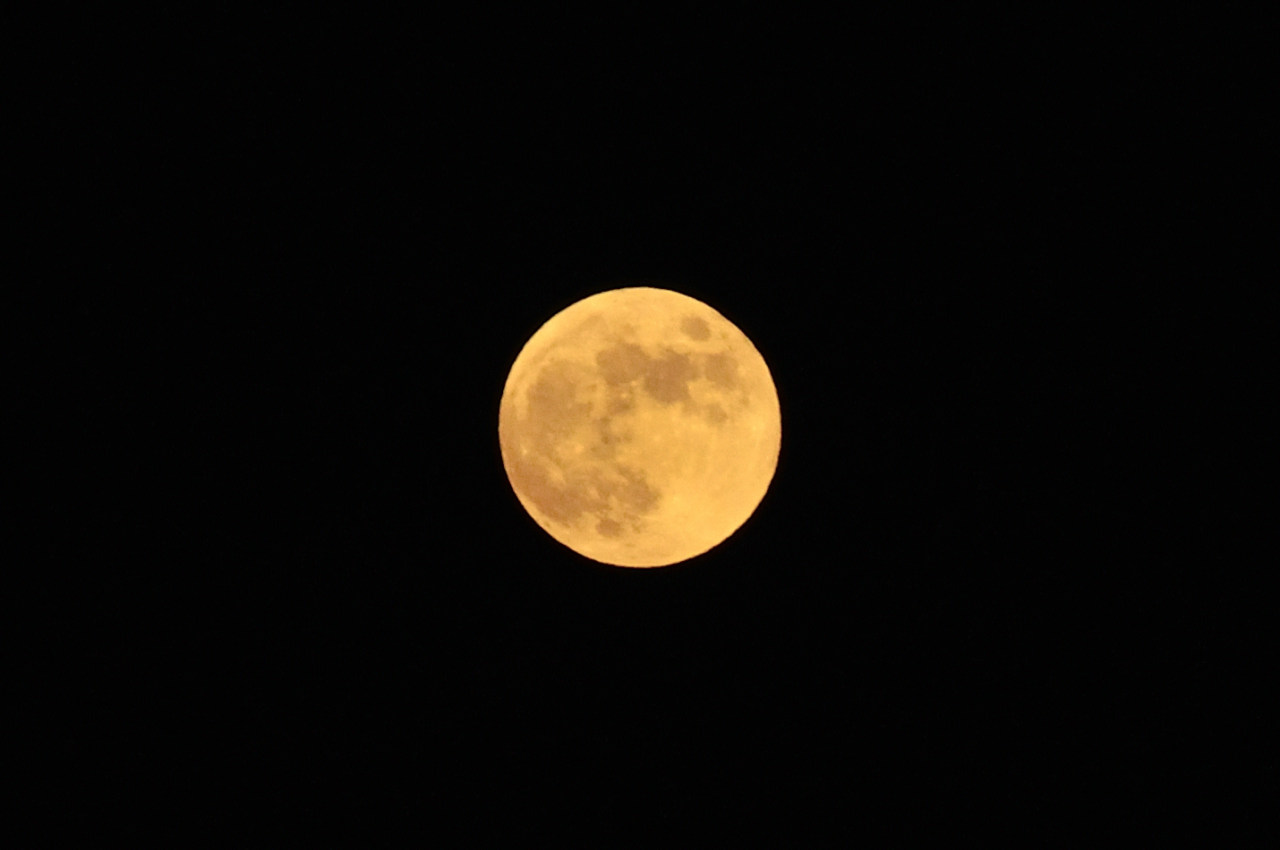 D2022055_001H