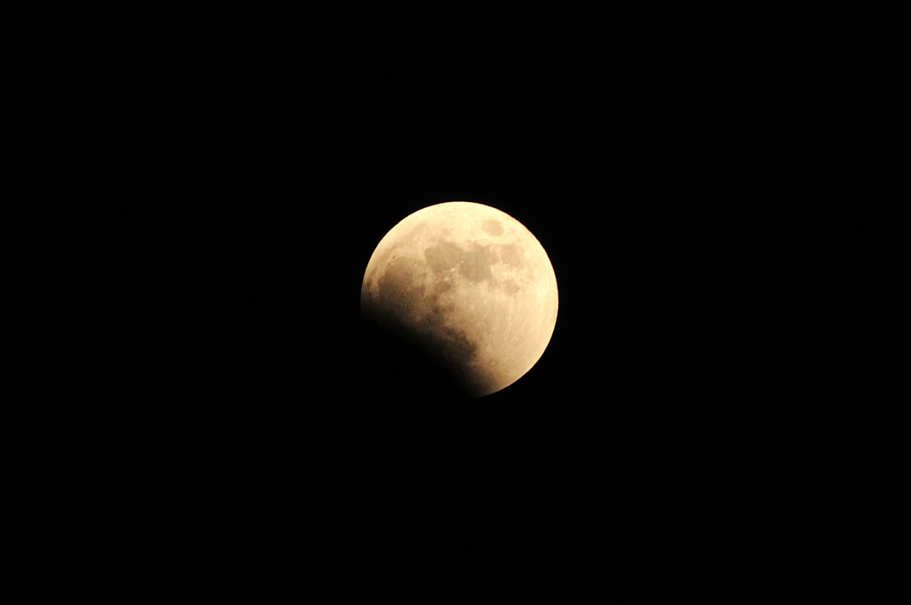 D2022055_004H