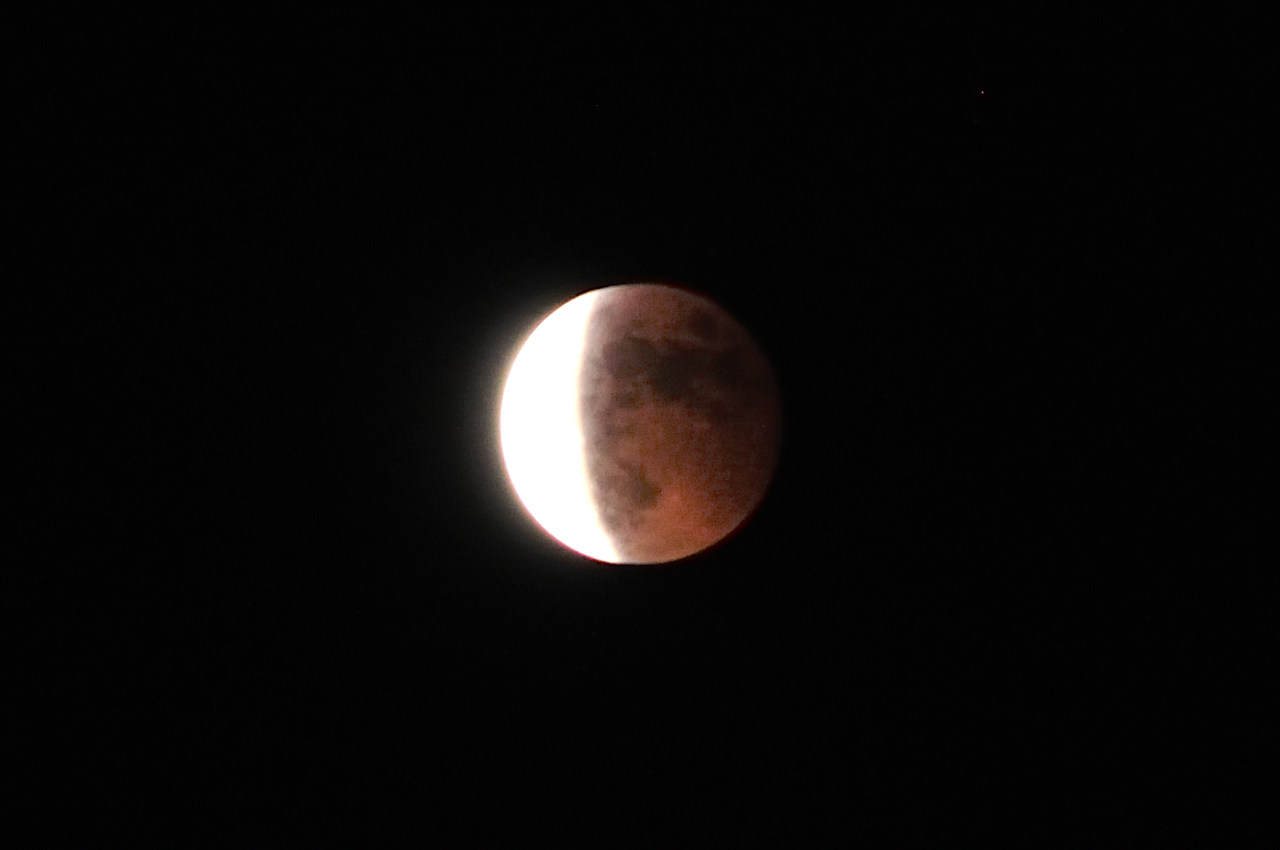D2022055_015H
