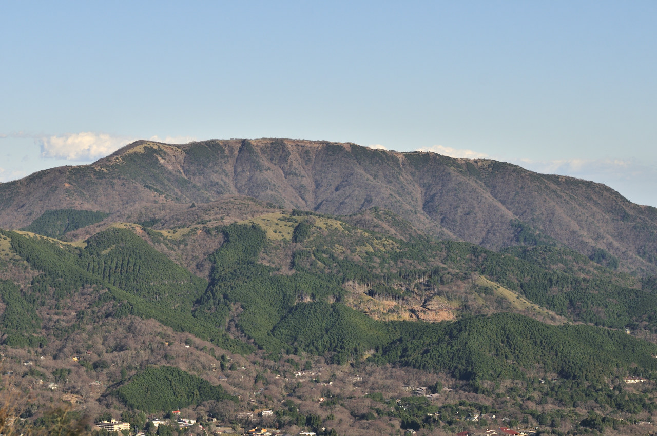 D2022067_295H