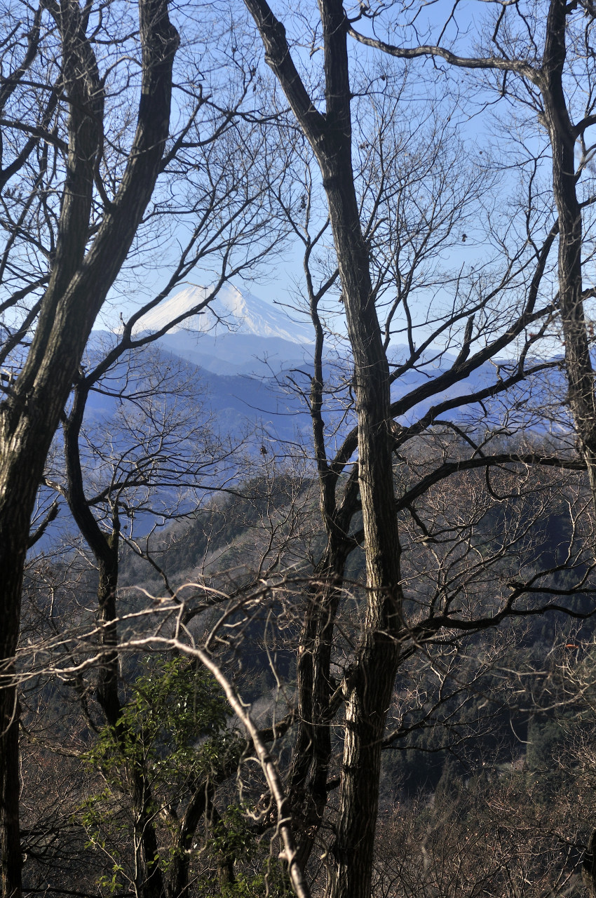 D2023001_044V