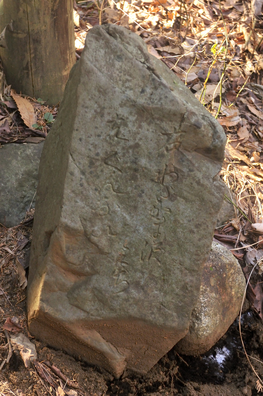 D2023001_084V