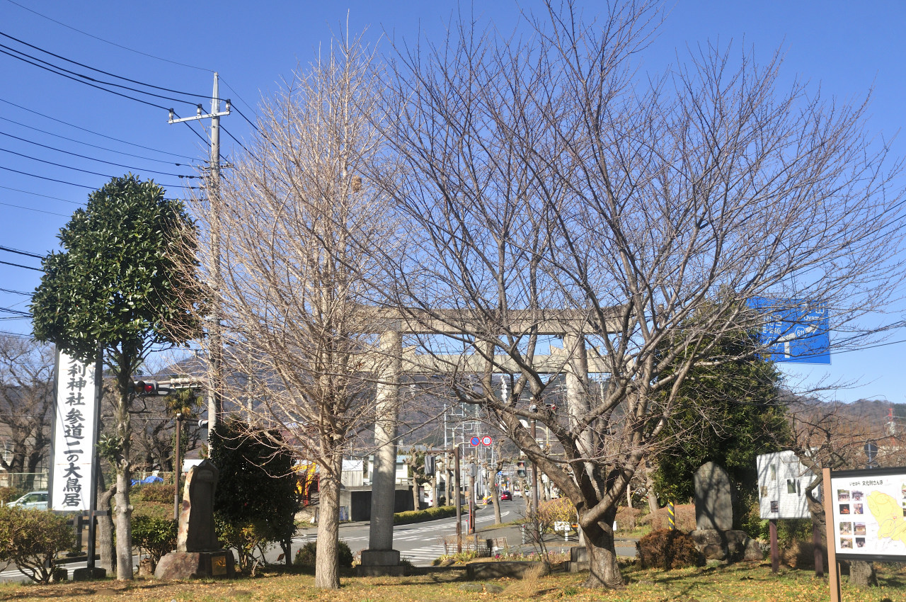 D2023003_040H
