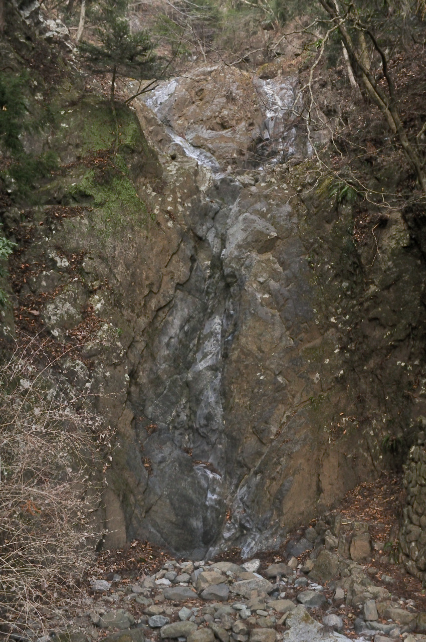 D2023003_260V