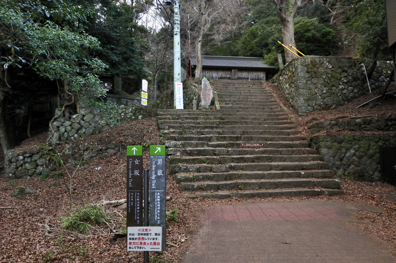 D2023003_336H