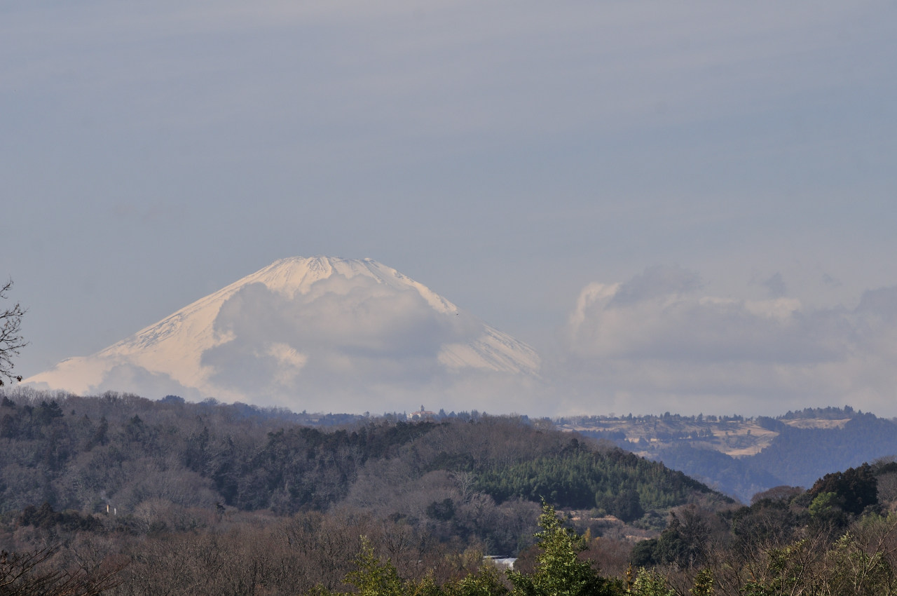 D2023011_108H